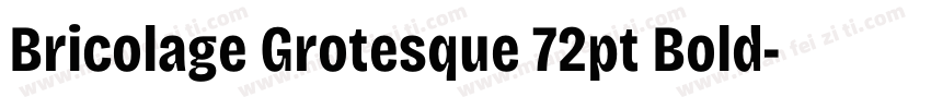 Bricolage Grotesque 72pt Bold字体转换